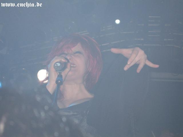 Lame Immotrelle vom 20.02.2008-033.jpg